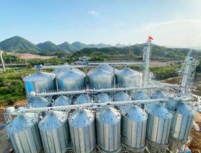 丰尚助力湘佳牧业打造行业预混料标杆工厂