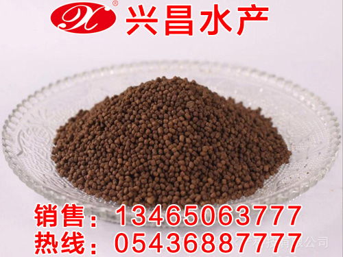 观赏鱼饲料报价 厂家