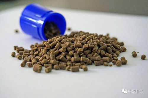 饲料蛋白质,真的越高越好 养殖高手 最重要的消化率