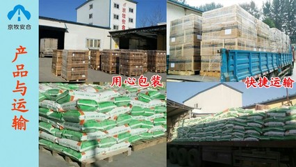 河北沧州蛋种鸭预混料厂家直销 京牧安合生物技术引领饲料品质新标准