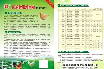 蛋鸡与肉鸡饲料 精准营养，高效养殖的关键