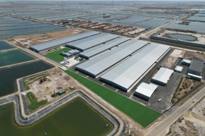 打造世界级虾类食品新标杆 通威虾以高品质饲料引领产业升级