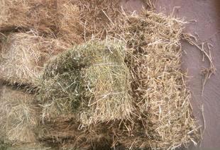 全面解析饲料市场 苜蓿颗粒、苜蓿草捆与玉米秸秆颗粒的价格、厂家与选购指南